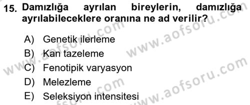 Hayvan Yetiştirme Dersi 2021 - 2022 Yılı (Vize) Ara Sınav Soruları 15. Soru