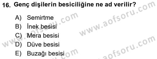 Hayvan Yetiştirme Dersi Ara Sınavı Deneme Sınav Soruları 16. Soru