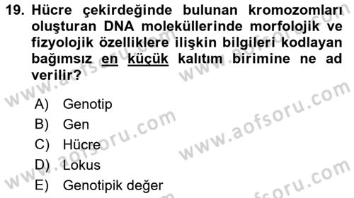 Hayvan Yetiştirme Dersi Ara Sınavı Deneme Sınav Soruları 19. Soru