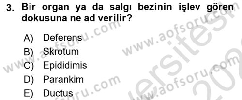 Hayvan Yetiştirme Dersi 2021 - 2022 Yılı (Vize) Ara Sınav Soruları 3. Soru