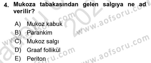 Hayvan Yetiştirme Dersi 2021 - 2022 Yılı (Vize) Ara Sınav Soruları 4. Soru