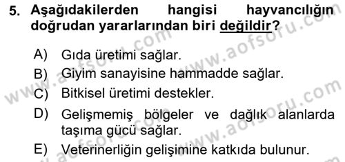 Hayvan Yetiştirme Dersi 2021 - 2022 Yılı (Vize) Ara Sınav Soruları 5. Soru