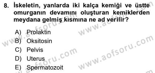 Hayvan Yetiştirme Dersi 2021 - 2022 Yılı (Vize) Ara Sınav Soruları 8. Soru