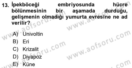 Hayvan Yetiştirme Dersi 2021 - 2022 Yılı (Final) Dönem Sonu Sınav Soruları 13. Soru