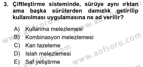 Hayvan Yetiştirme Dersi 2021 - 2022 Yılı (Final) Dönem Sonu Sınav Soruları 3. Soru