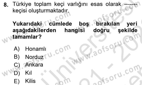 Hayvan Yetiştirme Dersi 2021 - 2022 Yılı (Final) Dönem Sonu Sınav Soruları 8. Soru
