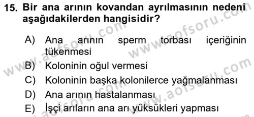 Hayvan Yetiştirme Dersi 2021 - 2022 Yılı Yaz Okulu Sınav Soruları 15. Soru