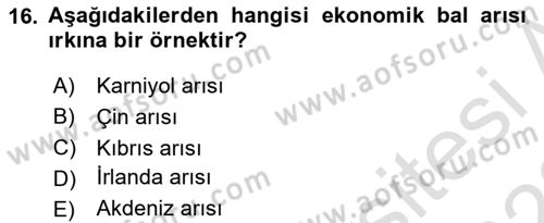 Hayvan Yetiştirme Dersi 2021 - 2022 Yılı Yaz Okulu Sınav Soruları 16. Soru