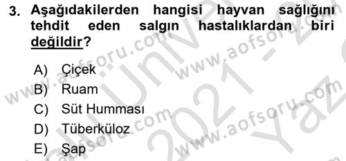 Hayvan Yetiştirme Dersi 2021 - 2022 Yılı Yaz Okulu Sınav Soruları 3. Soru