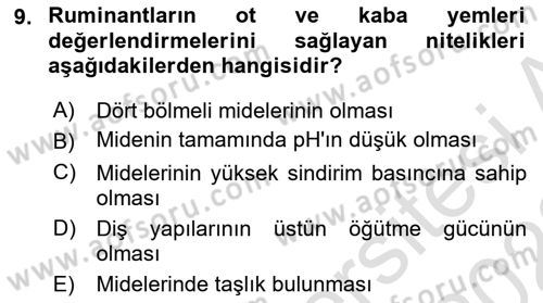 Hayvan Yetiştirme Dersi 2021 - 2022 Yılı Yaz Okulu Sınav Soruları 9. Soru