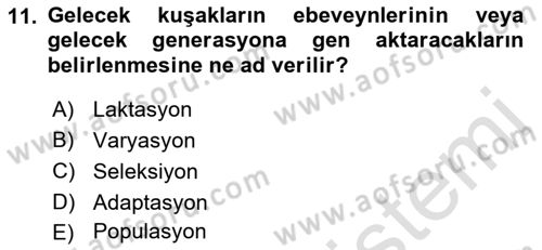 Hayvan Yetiştirme Dersi 2022 - 2023 Yılı (Vize) Ara Sınavı 11. Soru