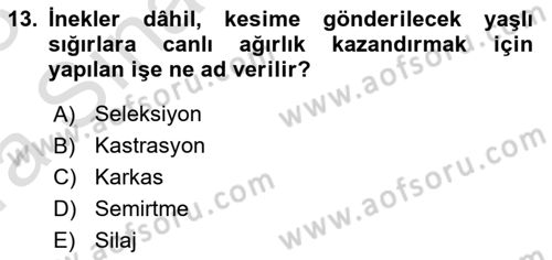 Hayvan Yetiştirme Dersi 2022 - 2023 Yılı (Vize) Ara Sınavı 13. Soru