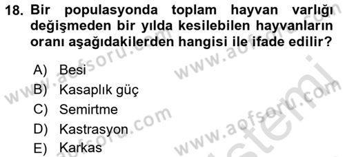 Hayvan Yetiştirme Dersi 2022 - 2023 Yılı (Vize) Ara Sınavı 18. Soru