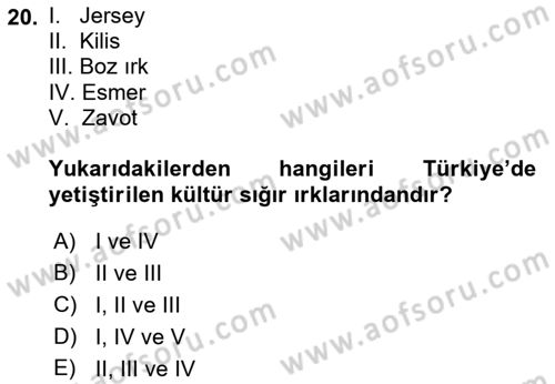 Hayvan Yetiştirme Dersi 2022 - 2023 Yılı (Vize) Ara Sınavı 20. Soru