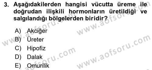 Hayvan Yetiştirme Dersi 2022 - 2023 Yılı (Vize) Ara Sınavı 3. Soru