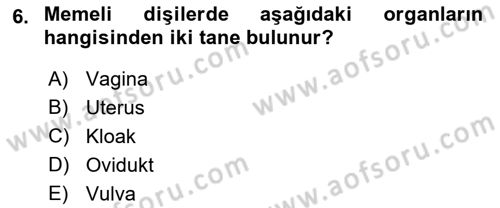 Hayvan Yetiştirme Dersi 2022 - 2023 Yılı (Vize) Ara Sınavı 6. Soru