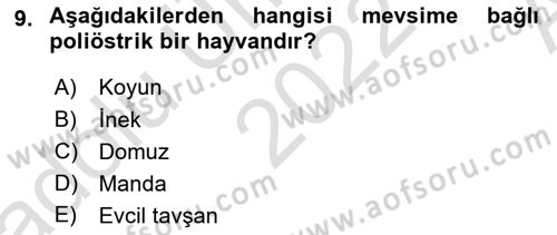 Hayvan Yetiştirme Dersi 2022 - 2023 Yılı (Vize) Ara Sınavı 9. Soru