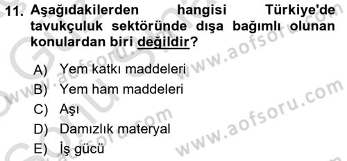Hayvan Yetiştirme Dersi 2022 - 2023 Yılı (Final) Dönem Sonu Sınav Soruları 11. Soru