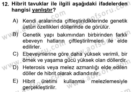 Hayvan Yetiştirme Dersi 2022 - 2023 Yılı (Final) Dönem Sonu Sınav Soruları 12. Soru