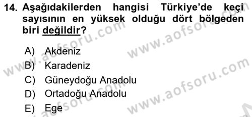 Hayvan Yetiştirme Dersi 2022 - 2023 Yılı (Final) Dönem Sonu Sınav Soruları 14. Soru