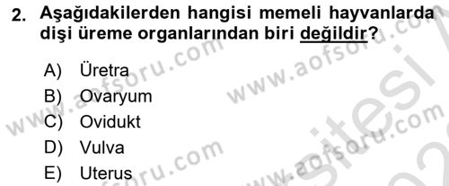 Hayvan Yetiştirme Dersi 2022 - 2023 Yılı (Final) Dönem Sonu Sınav Soruları 2. Soru