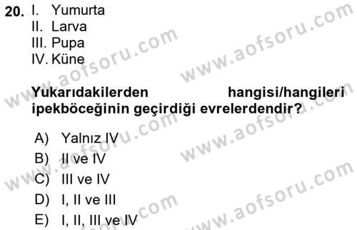 Hayvan Yetiştirme Dersi 2022 - 2023 Yılı (Final) Dönem Sonu Sınav Soruları 20. Soru
