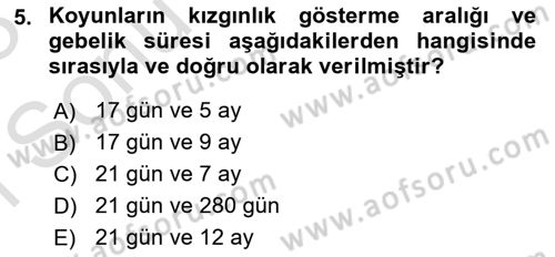 Hayvan Yetiştirme Dersi 2022 - 2023 Yılı (Final) Dönem Sonu Sınav Soruları 5. Soru