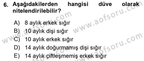 Hayvan Yetiştirme Dersi 2022 - 2023 Yılı (Final) Dönem Sonu Sınav Soruları 6. Soru