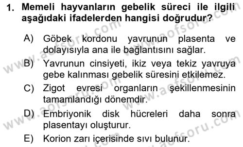 Hayvan Yetiştirme Dersi 2022 - 2023 Yılı Yaz Okulu Sınav Soruları 1. Soru
