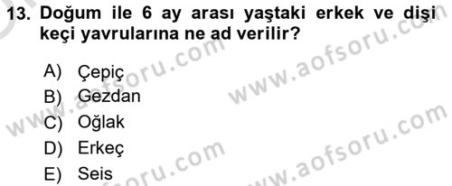 Hayvan Yetiştirme Dersi 2022 - 2023 Yılı Yaz Okulu Sınav Soruları 13. Soru