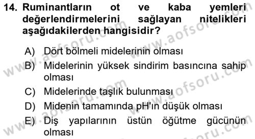 Hayvan Yetiştirme Dersi 2022 - 2023 Yılı Yaz Okulu Sınav Soruları 14. Soru