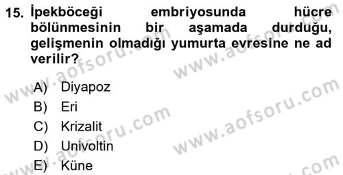 Hayvan Yetiştirme Dersi 2022 - 2023 Yılı Yaz Okulu Sınav Soruları 15. Soru