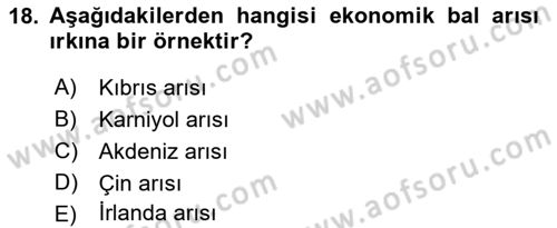 Hayvan Yetiştirme Dersi 2022 - 2023 Yılı Yaz Okulu Sınav Soruları 18. Soru