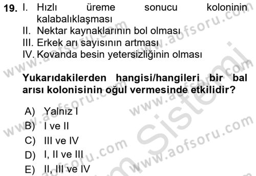 Hayvan Yetiştirme Dersi 2022 - 2023 Yılı Yaz Okulu Sınav Soruları 19. Soru
