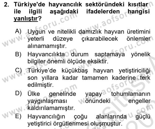 Hayvan Yetiştirme Dersi 2022 - 2023 Yılı Yaz Okulu Sınav Soruları 2. Soru