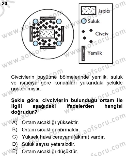 Hayvan Yetiştirme Dersi 2022 - 2023 Yılı Yaz Okulu Sınav Soruları 20. Soru