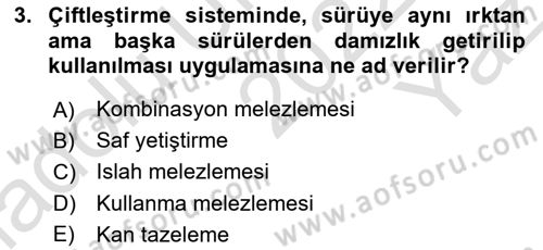 Hayvan Yetiştirme Dersi 2022 - 2023 Yılı Yaz Okulu Sınav Soruları 3. Soru