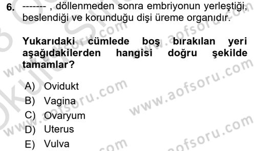 Hayvan Yetiştirme Dersi 2022 - 2023 Yılı Yaz Okulu Sınav Soruları 6. Soru