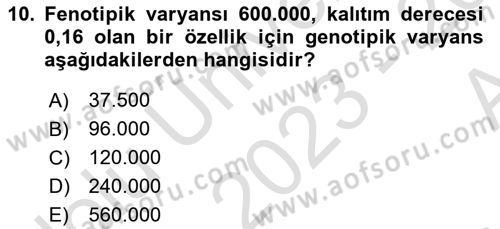 Hayvan Yetiştirme Dersi 2023 - 2024 Yılı (Vize) Ara Sınav Soruları 10. Soru