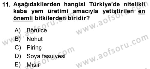 Hayvan Yetiştirme Dersi 2023 - 2024 Yılı (Vize) Ara Sınav Soruları 11. Soru