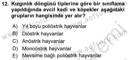 Hayvan Yetiştirme Dersi 2023 - 2024 Yılı (Vize) Ara Sınav Soruları 12. Soru