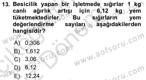 Hayvan Yetiştirme Dersi 2023 - 2024 Yılı (Vize) Ara Sınav Soruları 13. Soru