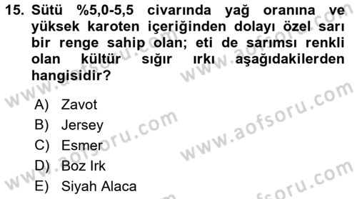 Hayvan Yetiştirme Dersi 2023 - 2024 Yılı (Vize) Ara Sınav Soruları 15. Soru