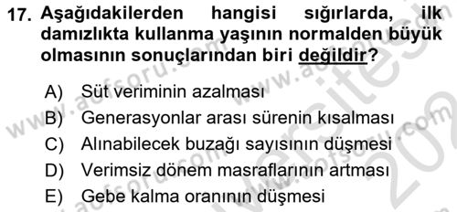Hayvan Yetiştirme Dersi 2023 - 2024 Yılı (Vize) Ara Sınav Soruları 17. Soru
