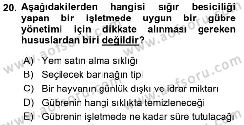Hayvan Yetiştirme Dersi 2023 - 2024 Yılı (Vize) Ara Sınav Soruları 20. Soru