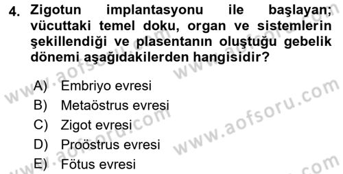 Hayvan Yetiştirme Dersi 2023 - 2024 Yılı (Vize) Ara Sınav Soruları 4. Soru