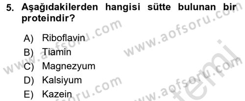 Hayvan Yetiştirme Dersi 2023 - 2024 Yılı (Vize) Ara Sınav Soruları 5. Soru