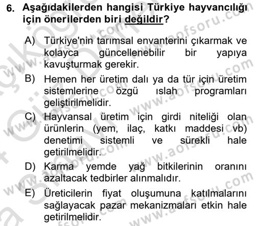 Hayvan Yetiştirme Dersi 2023 - 2024 Yılı (Vize) Ara Sınav Soruları 6. Soru