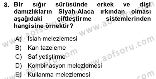 Hayvan Yetiştirme Dersi 2023 - 2024 Yılı (Vize) Ara Sınav Soruları 8. Soru