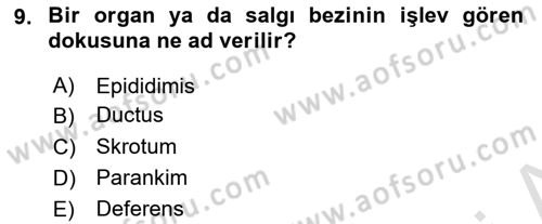 Hayvan Yetiştirme Dersi 2023 - 2024 Yılı (Vize) Ara Sınav Soruları 9. Soru